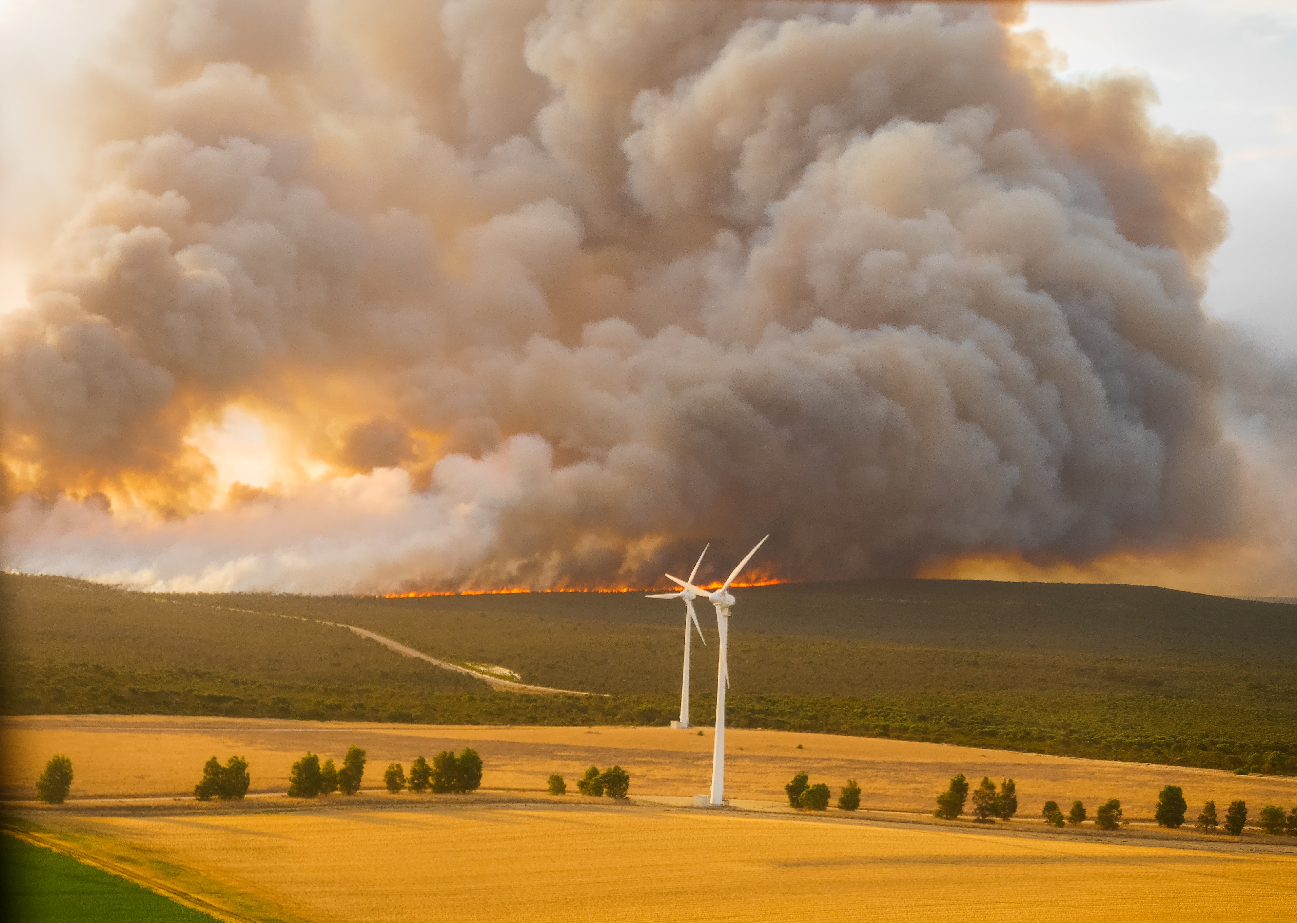 Bushfire smoke in a field with wind turbines
