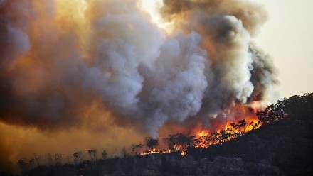 Smoke billows up from a blazing bushfire.