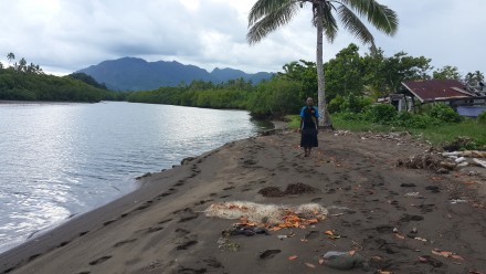 Sea level rise in Fiji 