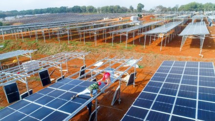 Workers install solar panels in a solar farm.