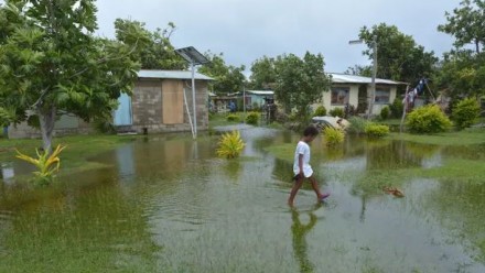 A flooded area of lawn on a Pacific Island, with houses in the background, and a child walking through the flooded grass.