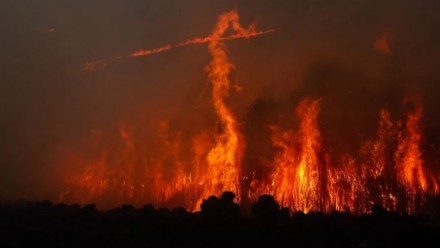 A photograph of a bushfire burning through tall grass.