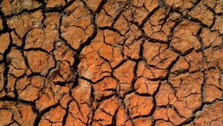 Drought-stricken land.