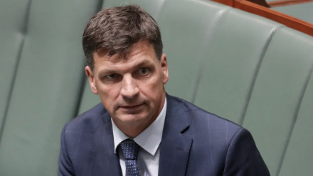 Minister Angus Taylor during Parliamentary Question Time. 