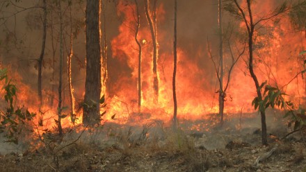 A bushfire burning at Captain Creek in Central Queensland, Australia.