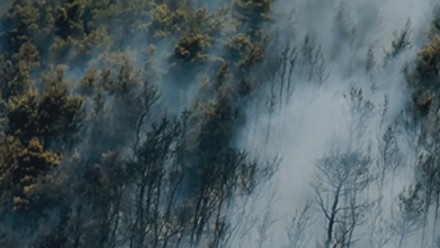 An aerial view of a forest shows smoke billowing up from beneath the trees.
