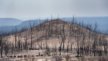 Currowan Bushfire
