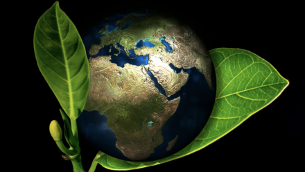 An artistic illustration of Earth being cupped in two leaves