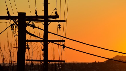 Electricity poles in the sunset