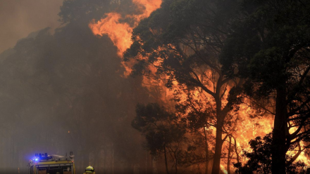 A firefighter tackles a bushfire blaze.