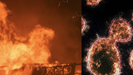 An image of bushfires, and a close-up of the coronavirus
