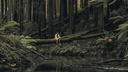 A person sites on a fallen tree in the middle of a forest.