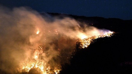 An aerial night-time photograph of a bushfire.