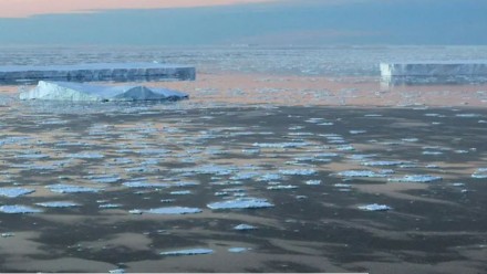 Ice floe adrift in Vincennes Bay