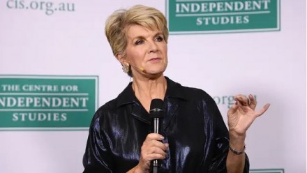 Julie Bishop has said the Coalition made ‘missteps’ when responding to bushfires over the summer and has put Australian National University scientists at the government’s disposal.