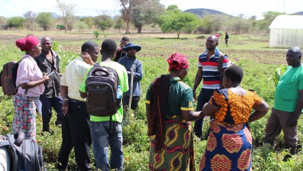 A group of stakeholders in south Africa standing in an agricultural field.