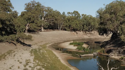 A section of the Murray-Darling river basin, with the water running low