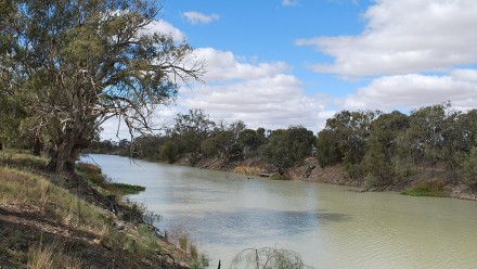 Photo of the Menindee Darling River