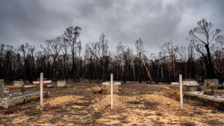 A photograph of three white wooden crosses marking graves in a burnt out area of land in Morton National Park.