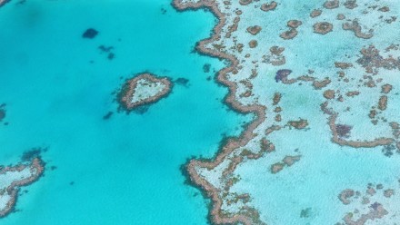 An aerial photograph of the Great Barrier Reef.
