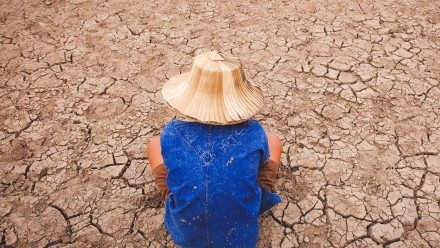Man sitting on dry cracked earth