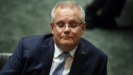 Scott Morrison in Parliamentary Question Time.