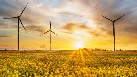 Wind turbine sunset