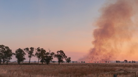 Bushfire