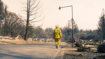 A firefighter walked through a burnt-out stretch of road.