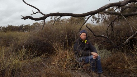 A photograph of Paul Porter, a fifth-generation farmer, sitting under a dead grey box tree amid indigo bushes and lignum in part of the Mirrool Creek on his property in the Riverina.