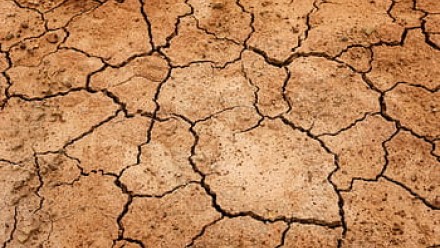 Drought-stricken soil.