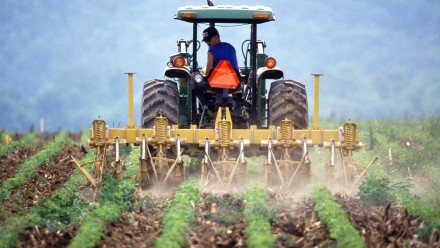 A farmer driving a tractor ploughs a field.