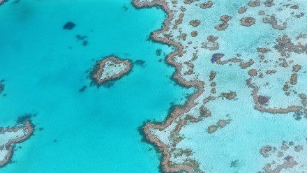 Aerial photo of Heart Reef, Queensland