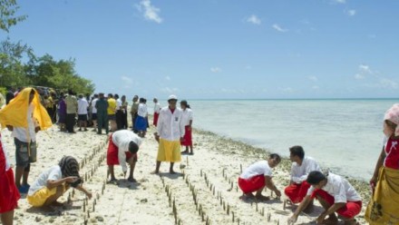 Mangrove shoots being planted on Tarawa, an atoll in the Pacific island nation of Kiribati to protect against coastal erosion. UN Photo/Eskinder Debebe