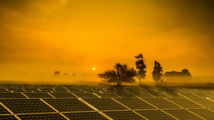 Photo of solar panels at dusk 