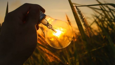 A lightbulb being held up against a sunset, in a field of long grass.