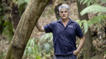 An image of Prof David Lindemayer in an area of forest, leaning against a tree with one hand in his pocket.