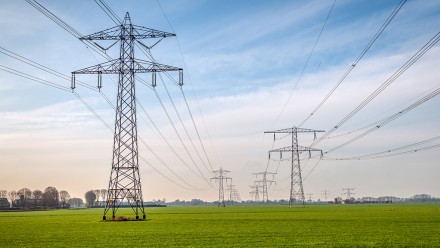 Electricity transmission lines span a green paddock