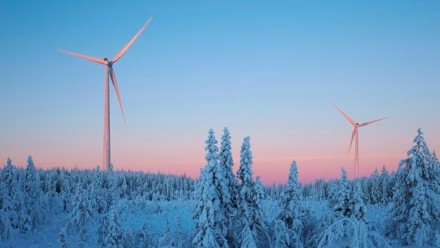 What has made Sweden take  leadership role in climate policy?   How does a country like this plan to reach net zero emissions by 2045?
