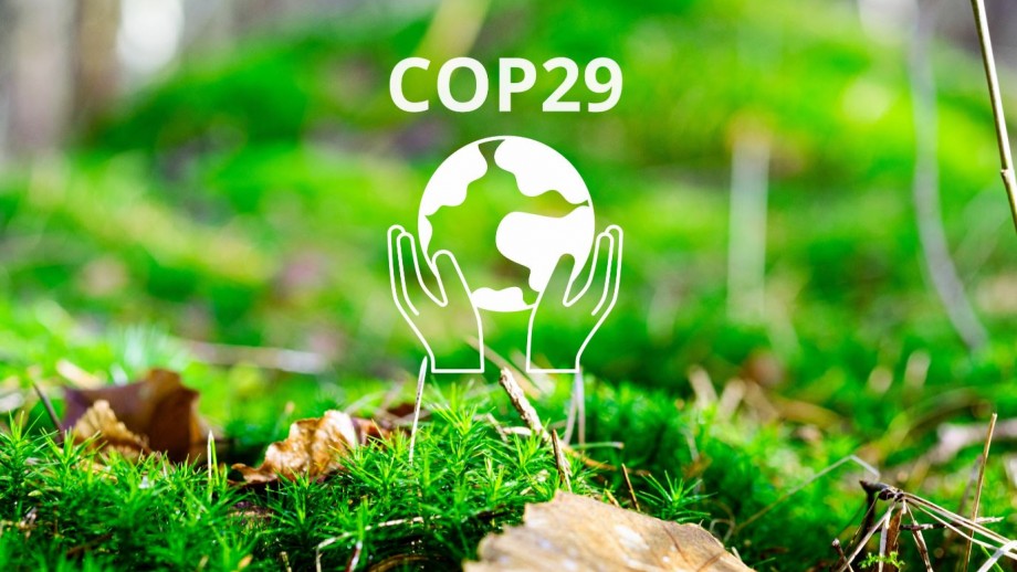 Graphic of two hands holding up a globe with COP29 text in foreground, green grass forest floor in background.