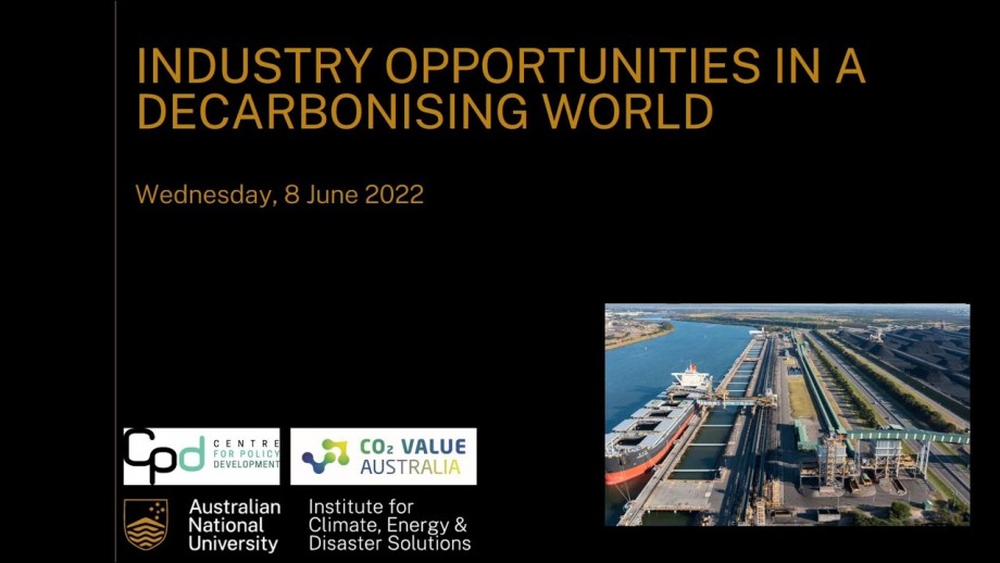 Industry opportunities in a decarbonising world