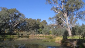 Wonga Wetlands - NSW