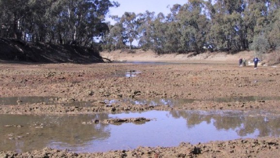 The dry muddy bed of Murray River in drought with a small puddle in the foreground