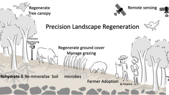 A diagram of precision landscape regeneration