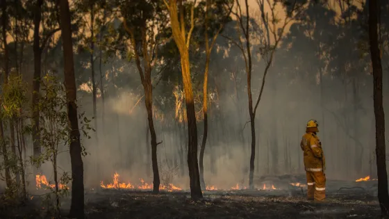 QLD RFS member surveys fire impacted bush. Photo: Adobe.