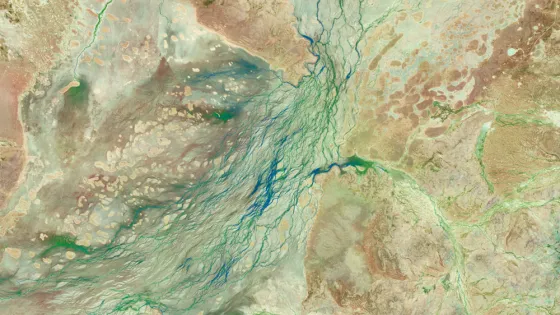 Northern Queensland before flooding in March 2025. Image by Michala Garrison/NASA