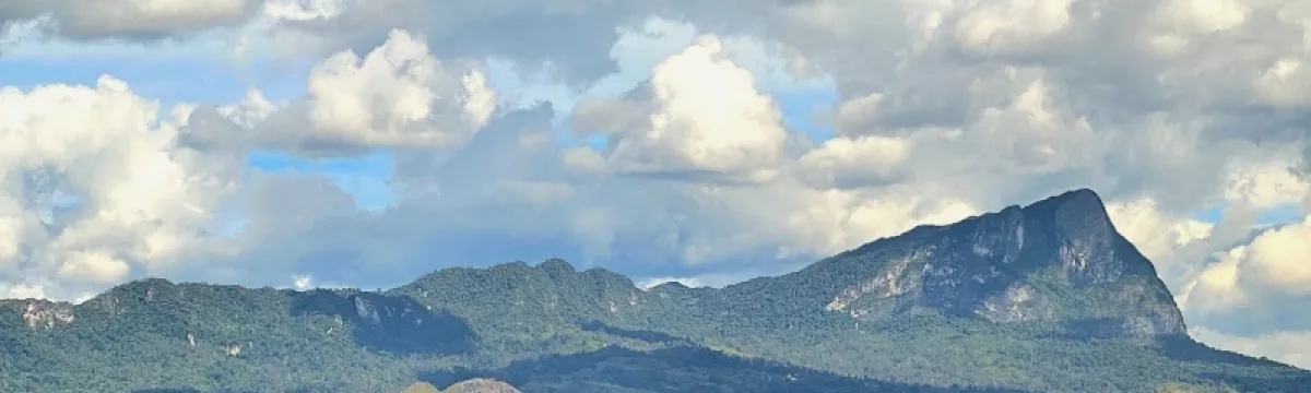 PNG