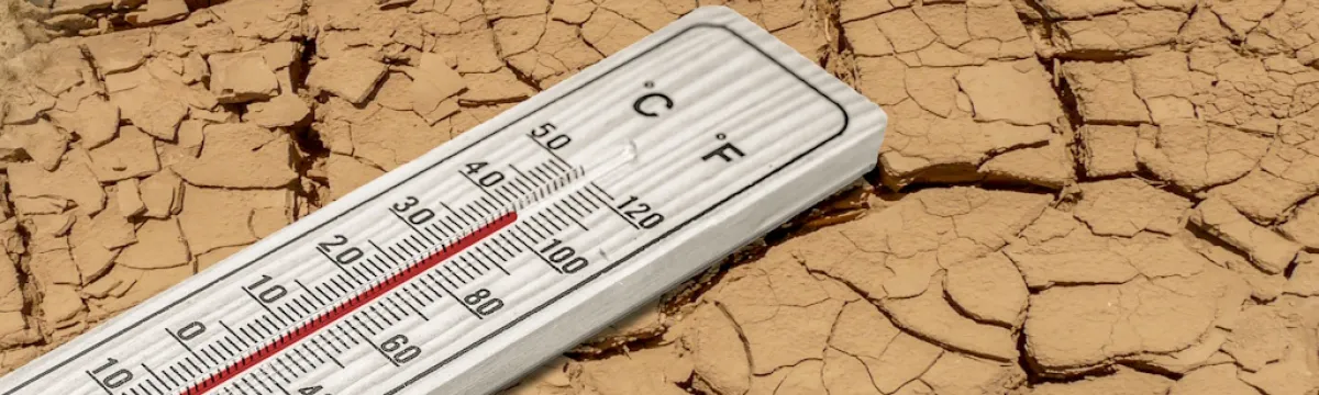 Thermometer on dry mud - Image:Adobe.