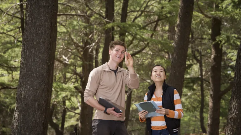 Bachelor of Environment &amp; Sustainability