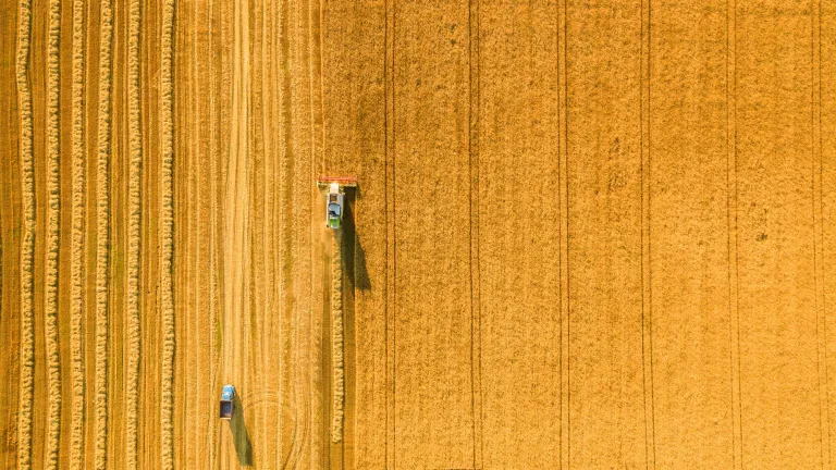 Harvester machine working in field . Combine harvester agriculture machine harvesting golden ripe wheat field. Agriculture. Aerial view. From above.